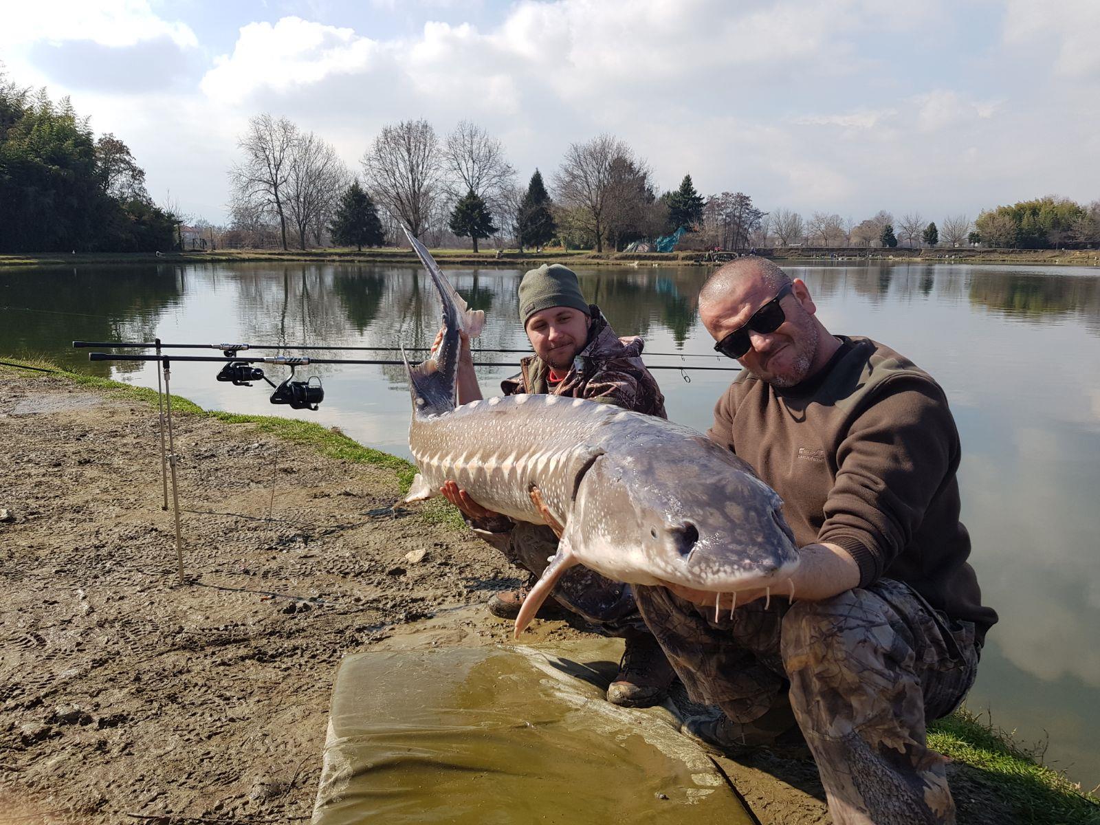 Gioia Lake - img-20180312-wa0030.jpg